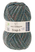 Austermann Step 6 Color / Knäuel 150g/410m LL/ 75% Schurwolle/25%Polyamid / Sockenwolle trocknergeeignet / mit Aloe Vera und Jojoba Öl