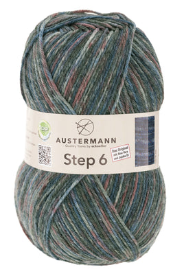 Austermann Step 6 Color / Knäuel 150g/410m LL/ 75% Schurwolle/25%Polyamid / Sockenwolle trocknergeeignet / mit Aloe Vera und Jojoba Öl