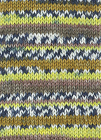 Austermann Step 6 Color / Knäuel 150g/410m LL/ 75% Schurwolle/25%Polyamid / Sockenwolle trocknergeeignet / mit Aloe Vera und Jojoba Öl