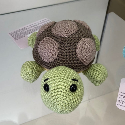 Schildkröte Jack klein