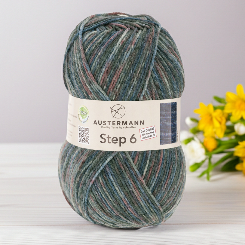 Step 6 Color / Knäuel 150g/410m LL/ 75% Schurwolle/25%Polyamid / Sockenwolle trocknergeeignet / mit Aloe Vera und Jojoba Öl