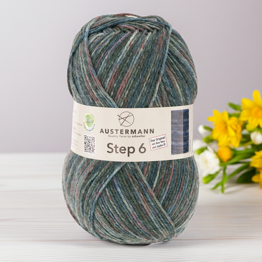 Step 6 Color / Knäuel 150g/410m LL/ 75% Schurwolle/25%Polyamid / Sockenwolle trocknergeeignet / mit Aloe Vera und Jojoba Öl